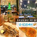 홍대 야장 감성에 취하고 싶다면 홍대입구역 가성비 술집 내돈내산 을지OB베어 와우