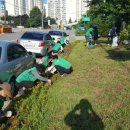 온양4동 온천대로 이미지