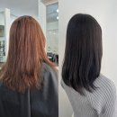 코발트블루 | 성신여대미용실 하룸헤어 빛에따라 달라지는 코발트블루 염색후기