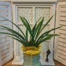 대훈유통 이미지