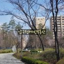 압구정-110 네이버블로그