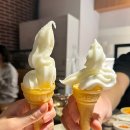 거북이동네 이미지
