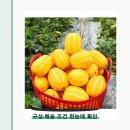 성주농산 - 북구 칠곡중앙대로 412 | 성주농산