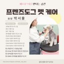 그루밍도그 이미지