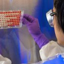 맞춤형화장품 제조 자격증 이미지