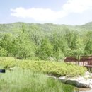 수목원약수터 이미지