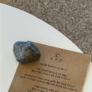 유성승마장 이미지