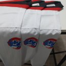 경희대 국가대표 탑태권도 이미지