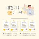 김쌤애견 이미지