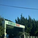 대나무골 | 대나무 숲이 매력적인 담양 대나무골 캠핑장 후기