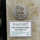 카페범 | 대형견 애견동반 제주 서귀포 법환포구 오션뷰카페 애플망고빙수 카페범 내돈내산