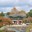 서울어린이대공원동물병원 이미지