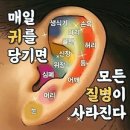 대지공구철물