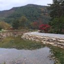 지안상회 이미지