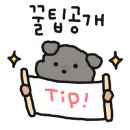 리인제주 이미지