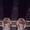 청춘세탁 | 여자 중목 국산 스포츠양말 추천 후기 | 데일리·운동 모두 만족한 청춘양말 리뷰