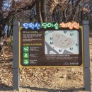 동구구립안심도서관 이미지