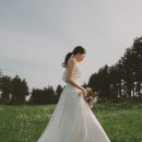 자유하는 | 제주도 웨딩스냅 후기 #2 보정본 후기 (몬도 포레스트)