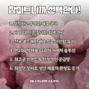 버대길 이미지