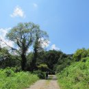 소리산참숯굽는마을 이미지