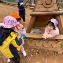 옥림 유아숲체험원 Daum카페
