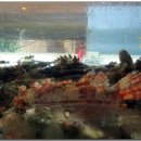 늘좋은횟집 이미지