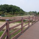 출렁다리(1) 이미지