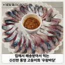 집에서 배송받아서 먹는 신선한 통영 고등어회 '우람바당' 솔직후기