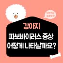 청북햇살 동물병원 이미지