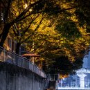 영남카정비 이미지