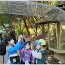 계명대마스터태권도 이미지