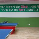 미장안길 Daum카페