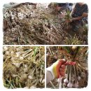 수촌농장 이미지