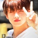 엔젤퍼피 이미지