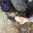 만덕초등학교 이미지