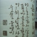 살구꽃핀마을은 이미지