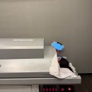 센텀빌딩 앞 | 해운대 피티 추천 센텀시티 쥬비스 다이어트 개인 PT 후기