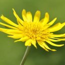 속초교육문화관 이미지