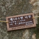 담양온천 이미지