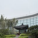 세븐일레븐 부산우동푸르지오점 | 다카마쓰 아니고 우동 천국이요