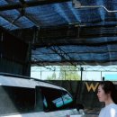 버블카셀프세차장 이미지