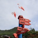 다리안민박 이미지