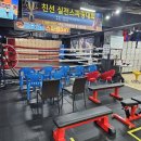 수원M복싱 이미지