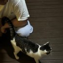 학하민박 이미지