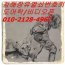 김해-진영-2-비상-2 이미지