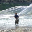 섬진강민물매운탕 이미지