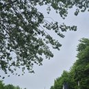 [2주차] 환경교육사 3급 실무교육 후기(서울) - 유아 교육과 교구, 놀이
