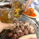 돈사돈구좌흑돼지 이미지