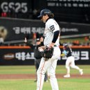 화이트 OSEN