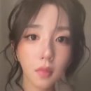아카이브넷